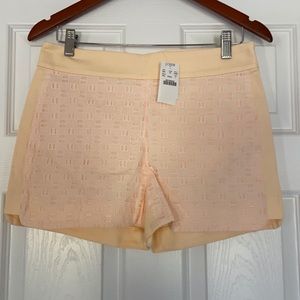 Women’s J. Crew shorts